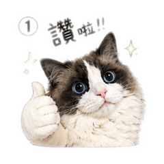 阿粿日常篇