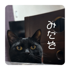 yu...m1_20260501004531