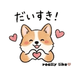 cute animal ver 2