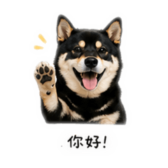 林仔仔-日常-