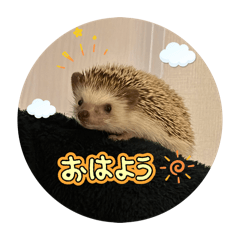 hinoki_20260506092015