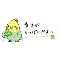 miyuki_20260506082724