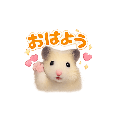 Fukudamayumi_20260506155019