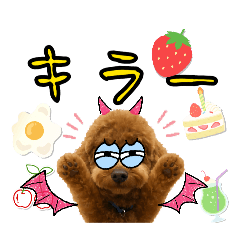 Choco_20260506155033