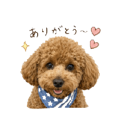Choco_20260506155737
