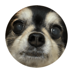 Monbo_20260506155952