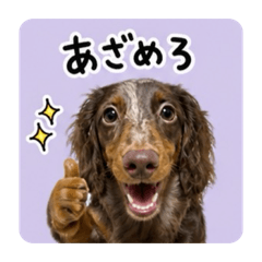 Noa_20260506155853