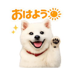 masakazu_20260506155556