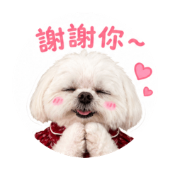 豆g 生活日常