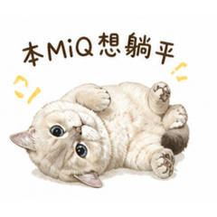 MiQ 小可愛