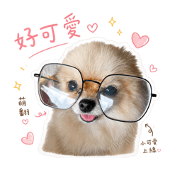 果果小公主❤️