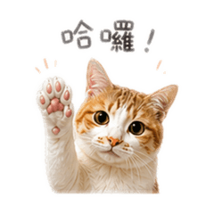 黃家大院之黃小橘
