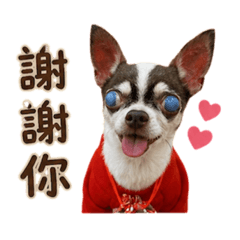 可愛勾錐
