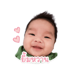Trainer_20260428151325