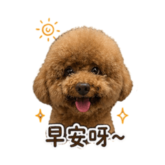 Kumo汪
