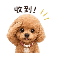 笨狗-無所事事的一天