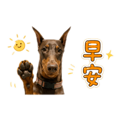 布布妮妮日常