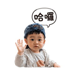 鬼靈精怪的嬰鵝