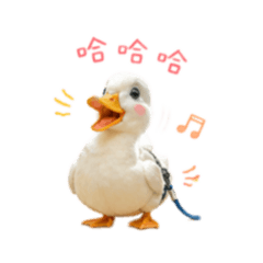 啊囉哈我是球球