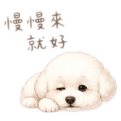 Money 比熊療癒