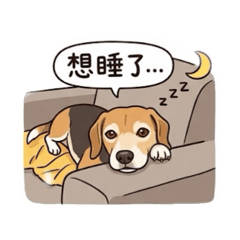 荳荳小姐2