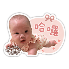 可愛圓臉寶