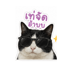 Bomb_20260428151653