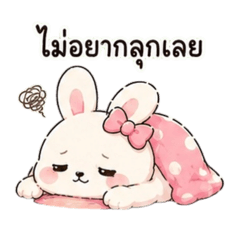 Moji._Ko_20260428151903