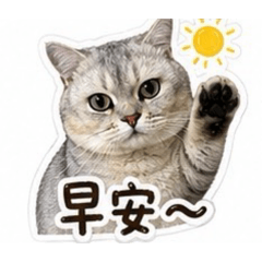 厭世麻糬日常