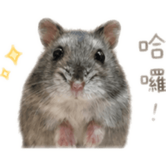 我是壯壯！！！