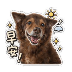 Hi,我是妞妞
