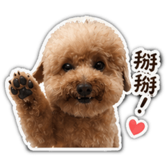 阿妞妞1