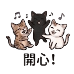 貓咪駕到♥皮丘&伊布&黑黑
