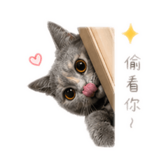蕊～