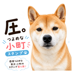 Dramatic Shiba Komachi