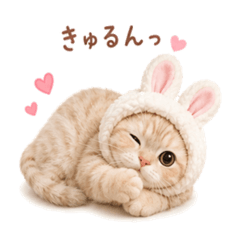 Bunny Baby Cat