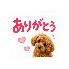 hidamari_20260506154759