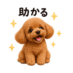 Office MAIGODOG_20260506152630