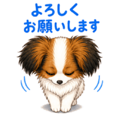 Playful yet polite! Mugi the Papillon.