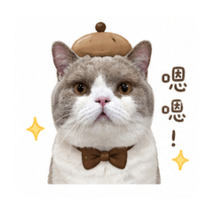 台灣麻吉貼圖