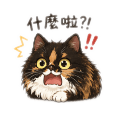 阿壯的毛絨絨宇宙