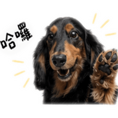 啊阿全欸～～～