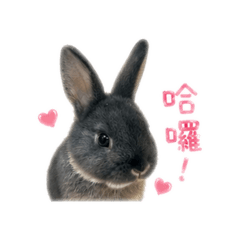 大郎貼圖1