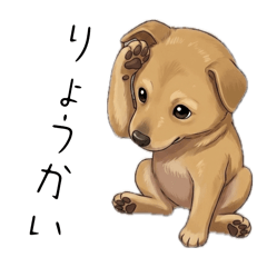 shipepe.ohkita_20260506161216