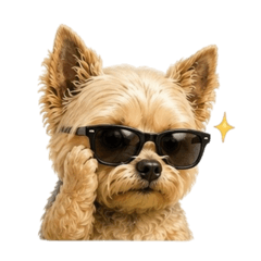 Yorkiemama_20260506161756