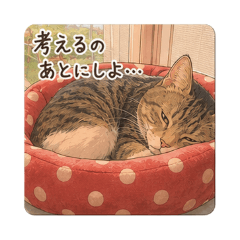 Toshi_1046_20260506162205