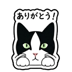 Cute Hachiware - Tuxedo Cat Stickers
