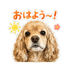 Cocker: Short Phrase Stickers