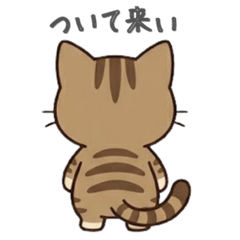 A Brown Tabby's Musings 3