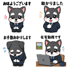 Schnauzer for Work Chats